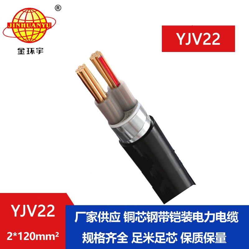 金环宇电线电缆 中低压电缆YJV22 2X120平方 铜芯铠装埋地电力电缆